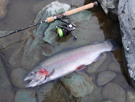 ニューロッド入魂！ ～天竜川ルアーフライ専用区～